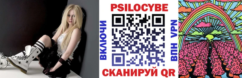 Псилоцибиновые грибы Psilocybine cubensis  Николаевск 